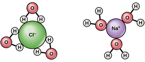 Waters Solvent Properties Introduction To Chemistry