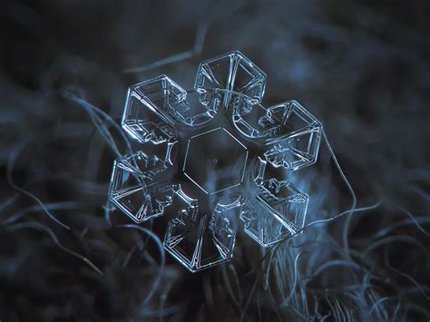 Interested how these images are made? Macro Photography of Snowflakes 13 Pics | I Like To ...