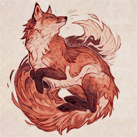 пошлая молли даже моя бэйби не знает Fox Art Animal Drawings Fox