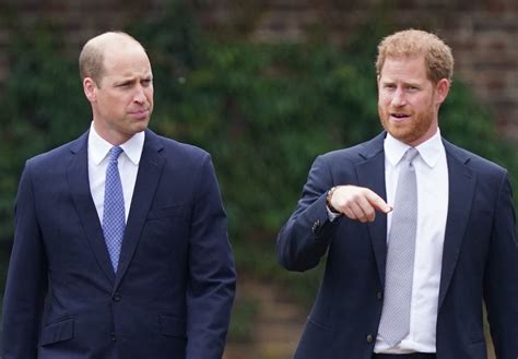 prince william and prince harry were ‘never allowed to break this household rule while growing up
