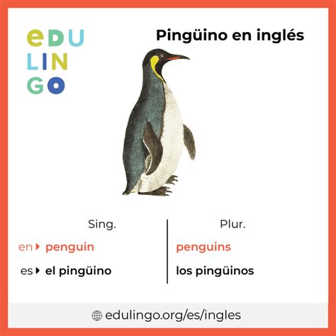 Pingüino en inglés Escritura y pronunciación con imágenes