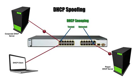 It creates a logical firewall between untrusted hosts and dhcp servers. DHCP Snooping | Best Cisco CCNA CCNP and Linux/CentOS PDF ...