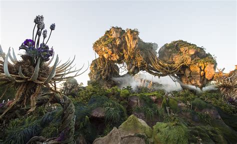 Pandora Avatar Land Preview For Disney Annual Passholders ...