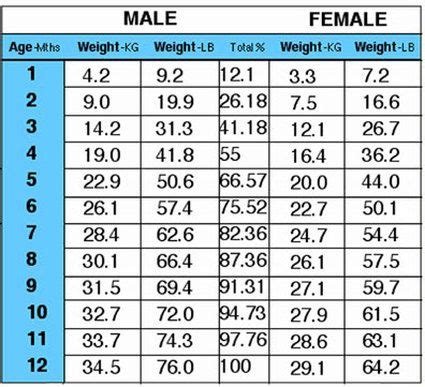 Medium sized dogs usually weigh. GSD Growth Chart | Puppy growth chart, Growth chart ...