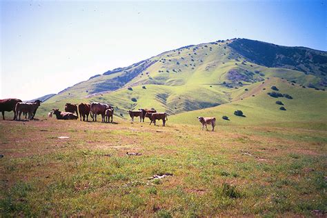 Arriving in canada at the ripe age of 21 armin had a deep love and romance for the the canadian west. California Rangeland Trust - California Council of Land Trusts