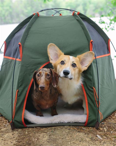 Dogs In Tents Camping Campingw