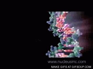 Dna GIF Find Share On GIPHY