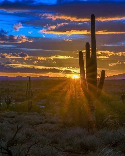 Untitled In 2020 Arizona Sunset Desert Sunset Nature