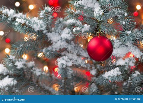 Snow Covered Christmas Tree With Hanging Red Ornament Stock Photo