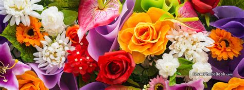 Flowers by willows, winfield, alberta. Beautiful Rainbow Variety Flowers Facebook Cover - Nature