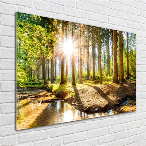 Ebern Designs Panorama Of The Forest Unframed Art Prints On Glass
