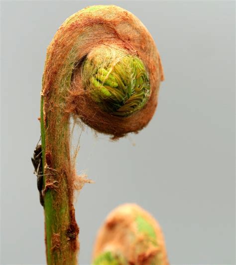 L'équinoxe de printemps 2021 a lieu le samedi 20 mars à 10h37 et 27 secondes heure française (9h37 et 27 secondes temps universel). équinoxe de printemps - le blog alain Barré