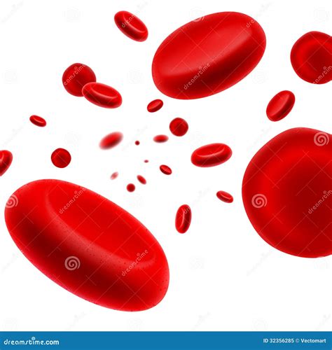 Flowing Red Blood Cell Stock Vector Illustration Of Disease 32356285