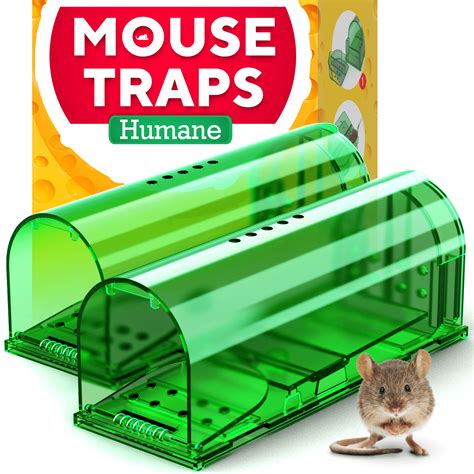 Indipendenza Miniatura Andes humane mouse trap latte bianco Nazionale