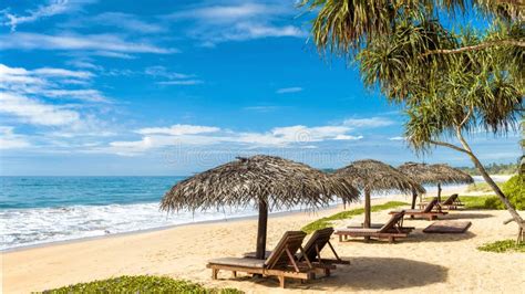 Tropical Beach In Sri Lanka Stock Photo Image Of Holiday Coast