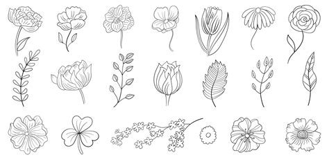 Set Of Hand Drawn Line Flowers Vector Art At Vecteezy