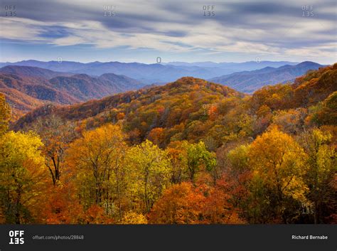 Colorful Autumn In The Deep Creek Valley Great Smoky Mountains