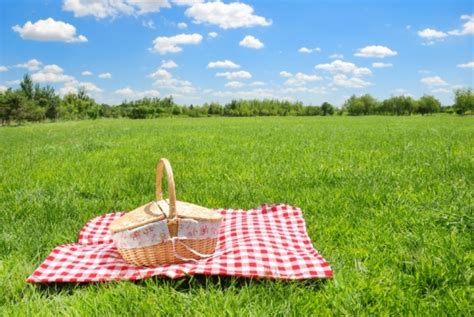 Local Picnic Essentials Guide · Dishing Park City