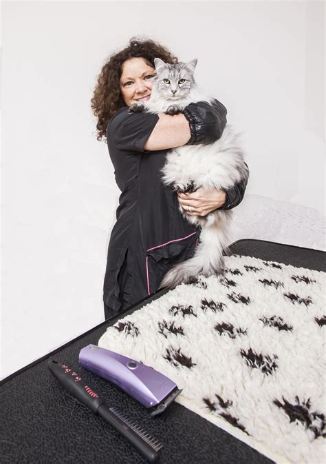 mobile cat groomer