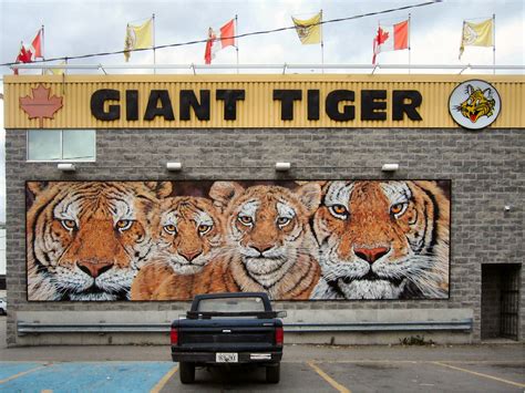 Giant Tiger Polo Park Opening In August