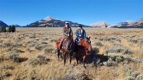 Explore Northern Yellowstone With Horsetrack Outfitters