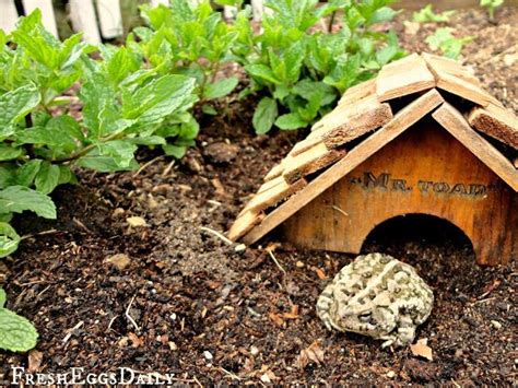 Places independence, missouri home improvementpest control service dead bug doug's pest control. Pin on Home