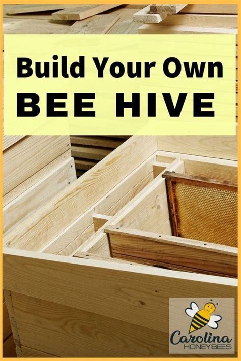 I started with about 20,000 bees, and they just kept multiplying. more than 40 years later, warren is still raising bees in his backyard. How to Build a Beehive of Your Own | Bee keeping, Building ...