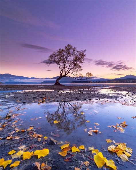 Stunningly Beautiful Landscapes Of New Zealand By Laurie Winter