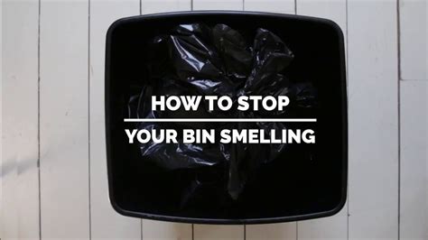 You can take them out of the vase, wrap them in a newspaper, and leave them in a bucket full of water overnight. How to Stop Your Bin Smelling | Fantastic Services - YouTube