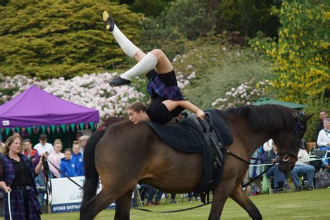 Vaulting Trick Riding Equestrian Riding