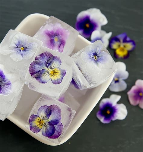Edible Flower Ice Cubes Kirbies Cravings