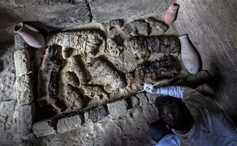 Nag On The Lake Dozens Of Cat Mummies Found In 6000 Year Old Tombs