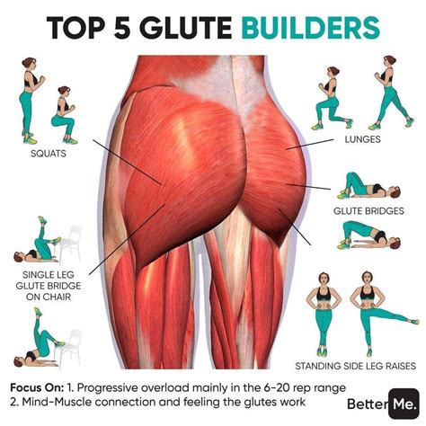 fitness tutorials 〽️ on instagram “💪🏻top 5 glute exercises that will make you sweat buckets a