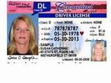 Replacing A Drivers License