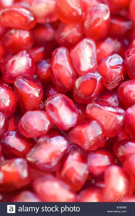 The seeds are angular, with a fleshy aril that constitutes the edible part, and are red to pinkish white in colour. Edible Seeds Stock Photos & Edible Seeds Stock Images - Alamy