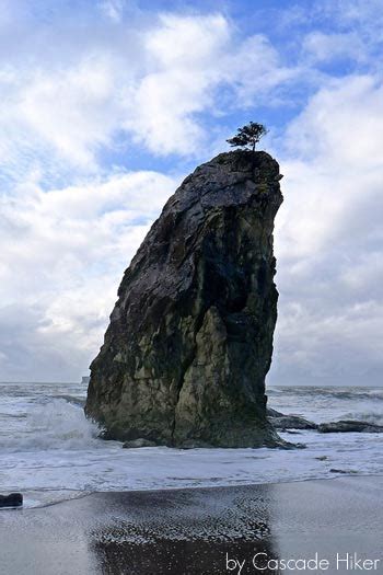 Feb 25, 2021 · rialto beach: Destination: Olympic National Park | Northwest Tripfinder