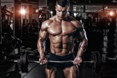 Bodybuilder Gym Man Muscle Wallpaper Resolution X Id