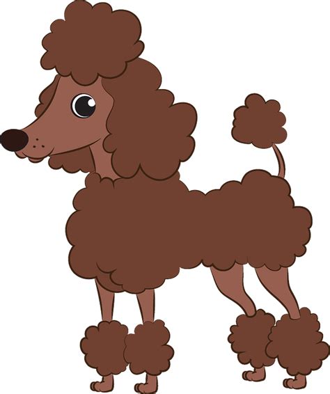Cartoon Poodle Pictures Cliparts Co Gambaran