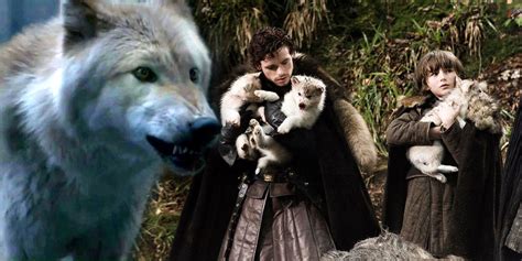 game of thrones the direwolves foreshadowed every stark s fate theory explained