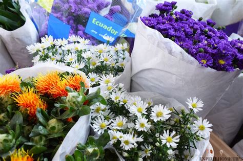 Find content updated daily for making flowers last longer. 7 ways to make your beautiful bouquet last longer - Expert ...