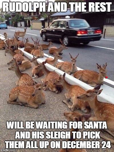 Image Tagged In Rudolphreindeerfunny Imgflip