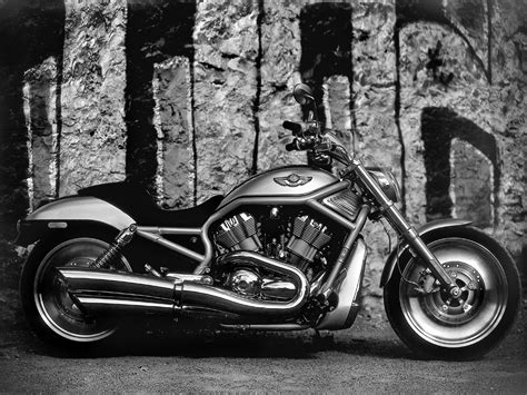 Motocicletas harley davidson v rod dodge challenger coches geniales funny. Harley Davidson V Rod Hd Background