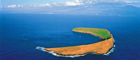 Snorkel Molokini Crater Maui Hawaii With Four Winds Ii
