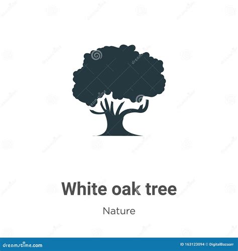 White Oak Tree Vector Icon On White Background Flat Vector White Oak