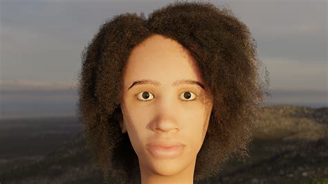 Human Face With Frizzy Hair Cg Cookie Learn Blender Online