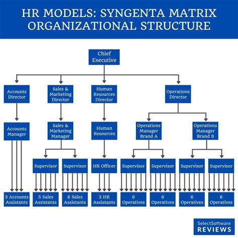 Hr Organization Structure And Chart Examples Types Human Resources