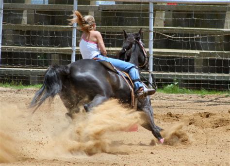 Is there a way to keep down the dust? Keeping Dust Down in the Indoor Arena