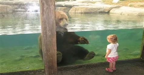 17 Adorable Zoo Animals That Are Happy To See Visitors Small Joys