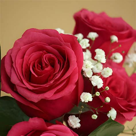 Wholesale Valentines Day Dozen Roses Bouquet For Fundraising ᐉ Bulk