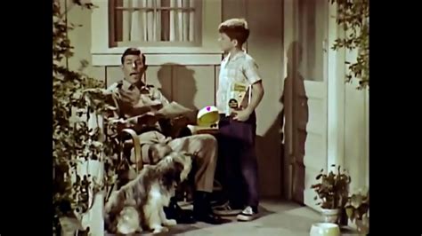 Get it as soon as tue, jul 20. General Mills Gaines Burgers Dog Food 1967 TV Commercial ...